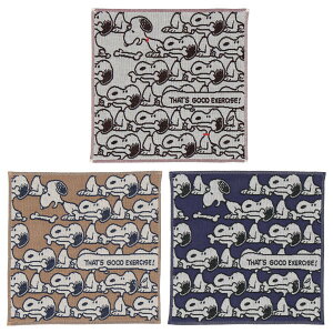 Xk[s[ 3dK[[nJ` (Xk[s[ς) nJ` ʂ 100 { 25cmx25cm SNOOPY Xk[s[ObY Mtg v[g  킢 s[ibc LN^[ O