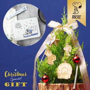 ySNOOPYzNX}XI[igPEANUTS coffeeZbgHi Eg NX}XXyVMtg SNOOPY Xk[s[ObY Mtg v[g  킢 s[ibc 