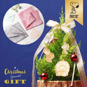 ySNOOPYzNX}XI[ignJ`2MtgZbgt@bVG NX}XXyVMtg nJ`Eʂ SNOOPY Xk[s[ObY Mtg v[g 