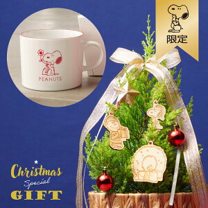 ySNOOPYzNX}XI[ig}OJbvMtgZbgLb`G NX}XXyVMtg }OJbv Rbv OX ۂ SNOOPY Xk[s[ObY Mtg v