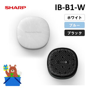 y11/1̓|Cg2{11/1`6͍ő2000~offN[|zV[v wAuV IBB1 IB-B1 W A B vY}NX^[ Plasmacluster Beauty Vi [J[ۏ1N Smoome