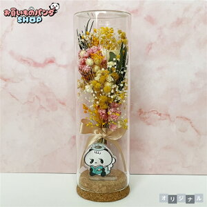 ̃p_ yIWiiz KXRNru[PiVgjsN