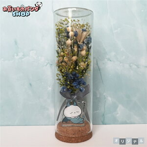 ̃p_ yIWiiz KXRNru[Piju[