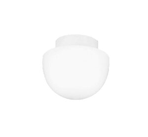�I�[�f���b�N LED�o�X���[�����C�g �y���M��50W�����z �����F (��t�H���K�v) SH9033LD