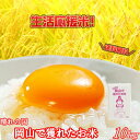 晴れの国岡山で穫れたお米 10kg 送料無料