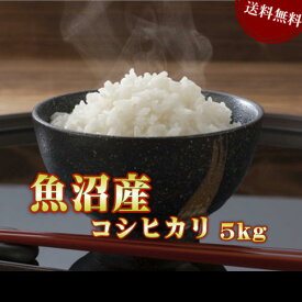 楽天市場 お米 5キロの通販