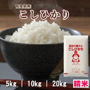 令和6年産 高知県産 コシヒカリ 米 送料無料