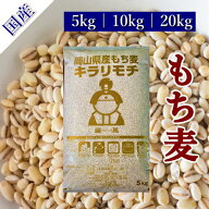 もち麦 令和7年産 キラリもち麦 岡山県産 国産100％ モチ麦 送料無料