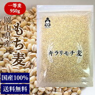 新麦 令和8年産 もち麦 キラリもち麦 950g チャック付 岡山県産 送料無料 国産