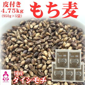 皮付き もち麦 ダイシモチ (950g×5袋) チャック付 岡山県産 送料無料