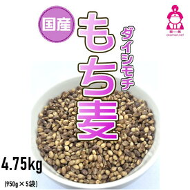 新麦 もち麦 令和7年産 ダイシモチ (950g×5袋) 岡山県産 お買い得パック 送料無料