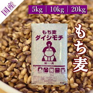 もち麦 令和7年産 ダイシモチ 岡山県産 紫もち麦 送料無料