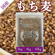 もち麦 令和7年産 ダイシモチ 岡山県産 チャック付き