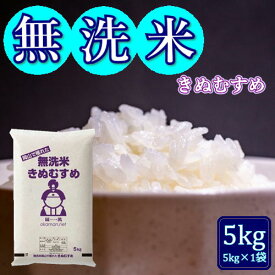 令和7年産 きぬむすめ 岡山県産 精米 無洗米 米 お米 送料無料