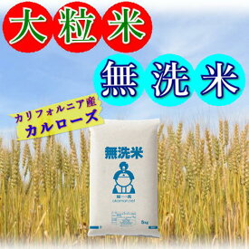 無洗米 お米 大粒米 2023年産 米国カリフォルニア産 カルローズ 米 送料無料
