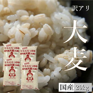 y󂠂z唞 (۔) Y 