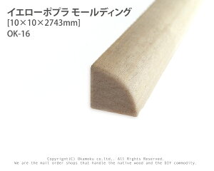 CG[|v[fBO@OK-16y10×10×2743mmz@(1{)