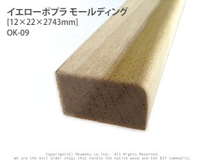 CG[|v[fBO@OK-09y12×22×2743mmz@(1{)