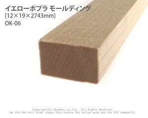 CG[|v[fBO@OK-06y12×19×2743mmz@(1{)