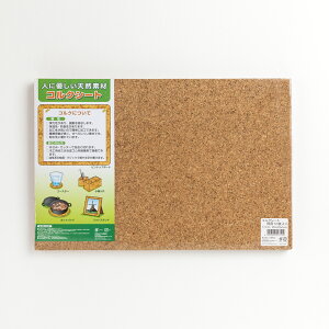 RNV[g p@450×300×2mmi10j