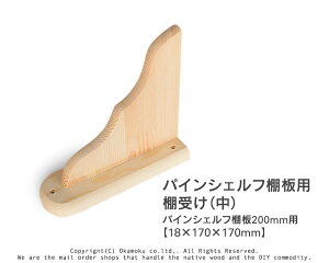 pCVFtI󂯁ijy18×170×170mmz