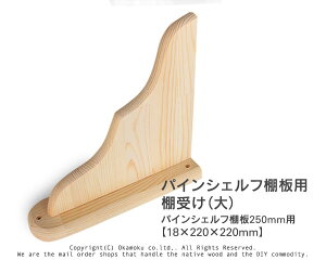 pCVFtI󂯁ijy18×220×220mmz