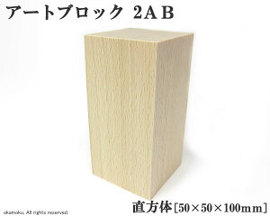 A[gubN  (2AB) y50×50×100mmz