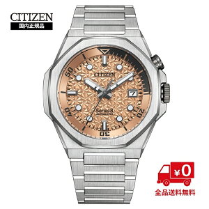yE1700{zV`Y V[Y8 NB6066-51W 胂f JjJ  