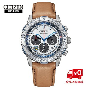 yKizV`Y v}X^[ u[CpX 胂f CA4661-09A