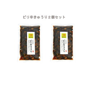  pbN ؓ {X  ushイv 160g 2ܓ イ Е Ђ 傤Ђ MB 쌧 kMB ؓ sh ̂ Y