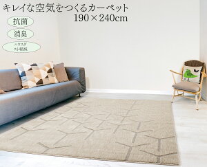 O XR[v 􂦂J[ybg 􂦂  h 190×240cm v[x O J[ybg O}bg nEX_Xg L ԕ O[ zbgJ[ybgΉ ` z@V 傫