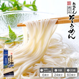 【送料無料】無塩そうめん【6食分】（250g×2袋）・【24食分】（250g×8袋）・【60食分】（250g×20袋）お試しセット 食塩無添加 塩分0 育児中 離乳食 お子様 子ども 徳島 阿波特産 簡単調理 ギフト 熨斗 のし対応【楽ギフ_のし】【楽ギフ_のし宛書】