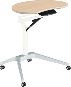 IJ Risefit3 CYtBbg3 蓮 ~fXN MS91FL 瓤` xzCg r|bV V720 s450 665`1000(mm)@ e[u p\RfXN