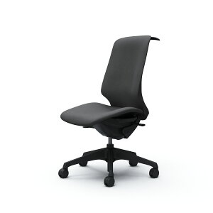 IJ Spher XtBA nCobN IȂ ʉs߂Ȃ {fBJ[FubN LX^[FiC nFC^[bN nK[t CT1DAA