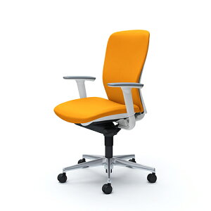 X[gFnCobNAzCgVFAA~rAiCLX^[AnK[AIyiz