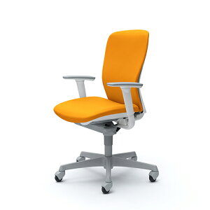 X[gFnCobNAzCgVFArASLX^[AnK[AIyiz