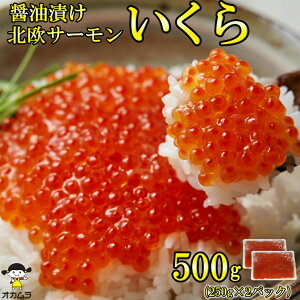  Ɩp ݖЂ 500g ( 250g ×2pbN  ) kT[ gEg   T_ i CN R CN  Ђ 芪 炵i ݖ Ⓚ X IJHiH IJH