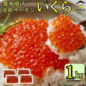  Ɩp ݖЂ 1kg ( 250g ×4pbN  ) kT[ gEg   T_ i CN R CN  Ђ 芪 炵i ݖ Ⓚ 񂹃O p[eB[ X 