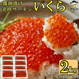  Ɩp ݖЂ 2kg ( 250g ×8pbN  ) kT[ gEg   T_ i CN R CN  Ђ 芪 炵i ݖ Ⓚ 񂹃O p[eB[ X 