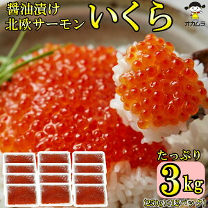  Ɩp ݖЂ 3kg ( 250g ×12pbN  ) kT[ gEg   T_ i CN R CN  Ђ 芪 炵i ݖ Ⓚ 񂹃O p[eB[ X 