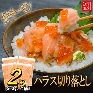󂠂 t T[ nX ؂藎Ƃ 2kg ( 500g ×4) AgeBbNT[ hg s  Hp Ⓚ TP CN  芪 i T_ g؂ pbN  񂹃O