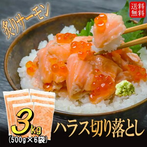 󂠂 t T[ nX ؂藎Ƃ 3kg ( 500g ×6) AgeBbNT[ hg s  Hp Ⓚ TP CN  芪 i T_ g؂ pbN  񂹃O