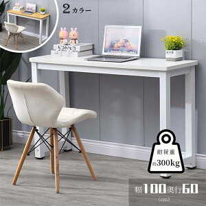 yԌ4_12%off!z p\RfXN fXN pcfXN RpNg X k p\RbN PCbN e[u[100cm s60cm@73cm] l炵 rO wKfXN ׋