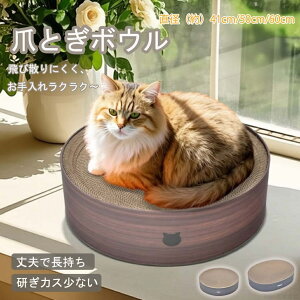 yԌ4_12%off!z L ܂Ƃ Lp L܂Ƃ ܌ ˂ Lp߂Ƃ ی` i{[   CeA Lpi ܖ ߂Ƃ ^ ~` ߂Ƃ xbh  fU