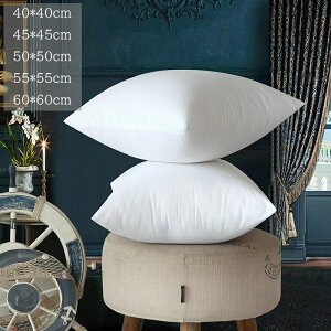 �N�b�V���� ���g 45 ���g���� 45cm 50 50 45 45 �N�b�V�����̒��g �N�b�V�����{�� ���� 60cm 55cm