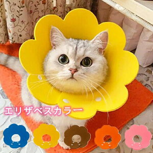 yԌ4_12%off!z ybgObY GUxXJ[ y2Zbgz ybg L  \tg _炩 tFg t[ GJ y ̕ی XgXy J[ S M L tFgt[G