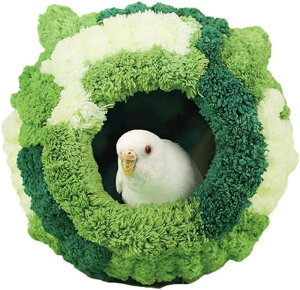 yԌ4_12%off!zZ[ ʂݒ̑ ̐Q ZLZCCR  xbh   CR ΍ ۉ БJ^ g ӂӂ ҂ ۂgl Ȓ̂