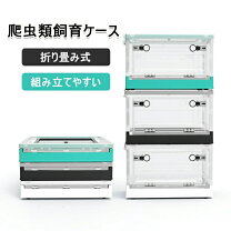楽天市場】60cm 前開き（爬虫類・両生類｜ペット・ペットグッズ）の通販