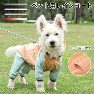 yԌ4_12%off!z Sh RȂ |`  CR[g ^ n[lXt  CR[g EȒP  J J ˃e[vt [hpt CJo[ hb