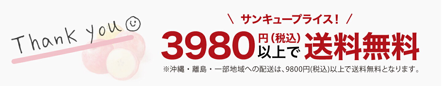 3980円(税込)以上で送料無料（沖縄・離島は9800円(税込)以上）
